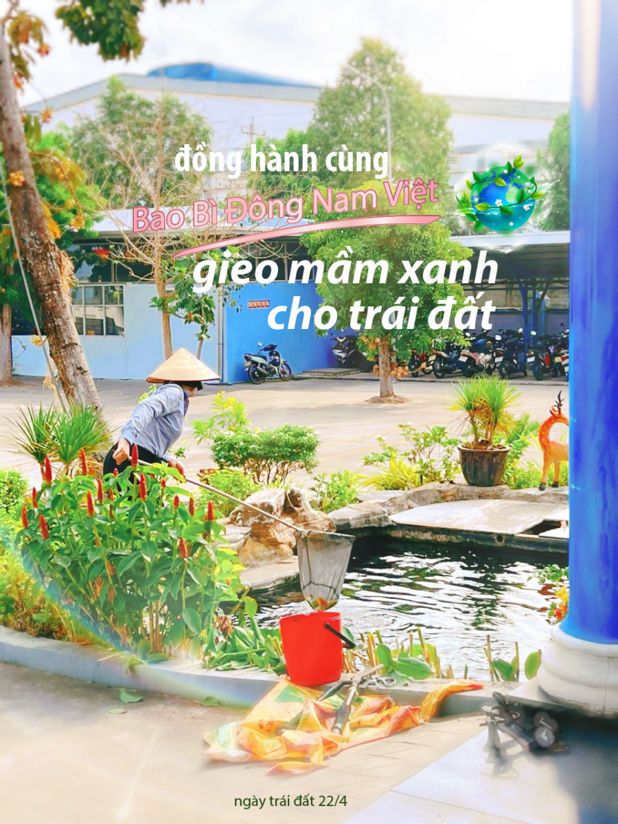 ĐỒNG HÀNH CÙNG BAO BÌ ĐÔNG NAM VIỆT GIEO MẦM XANH CHO TRÁI ĐẤT